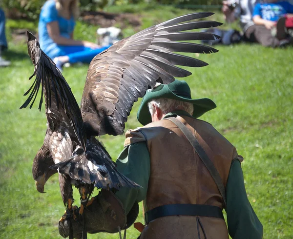 Falconer kartal kuş kanatları