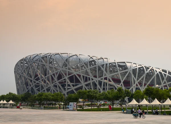 Vogels nesten beijing Olympisch Stadion — Stockfoto