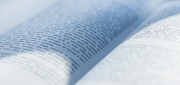 kitap yazıları yayını telif hakkı