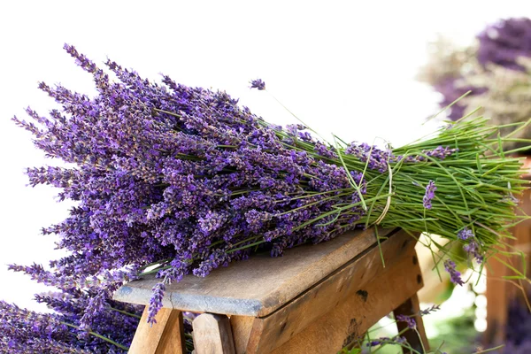 Lavendel bukett för växtbaserade läkemedel Royaltyfria Stockbilder
