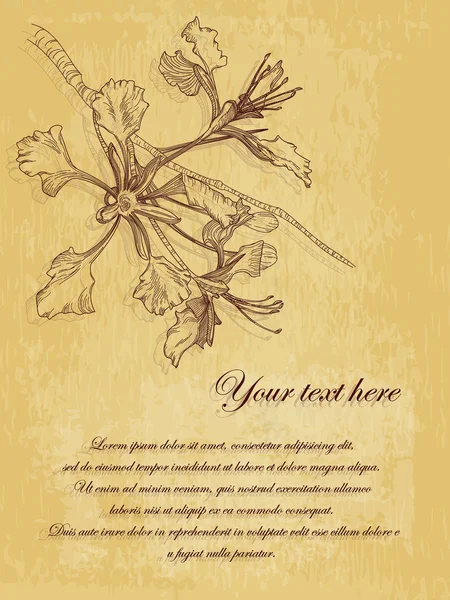 Vektor Blume Vintage Postkarte mit Platz für Text — Stockvektor