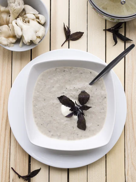 Suppe in weißer Schale — Stockfoto