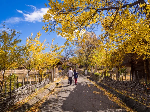 TBILISI, GEORGIA - OCTOBER 10, 2013: People walking in the park in the Ethnographical Museum in Tbilisi, Georgia. Many of the city's cultural events are held in the park