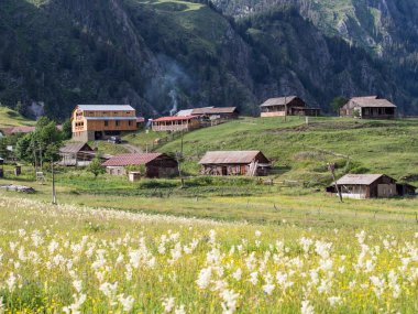 Kvemo omalo (düşük omalo)