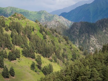 tusheti bölgesi, Gürcistan