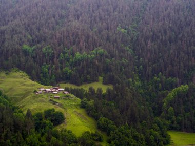 Kvemo omalo (düşük omalo)