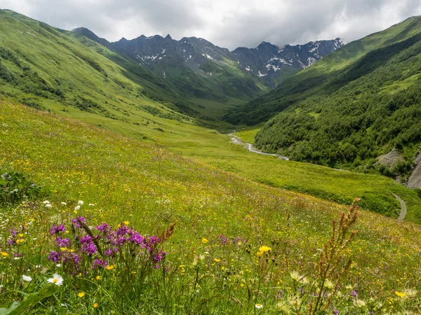 Góry w pobliżu miejscowości ushguli w regionie Górna Swanetia, Kaukaz — Zdjęcie stockowe