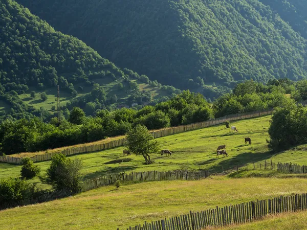 Svanetien region i Georgien, Kaukasus — Stockfoto