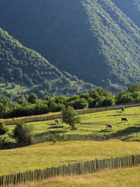 Vaneti-Region in Georgien, Kaukasus — Stockfoto