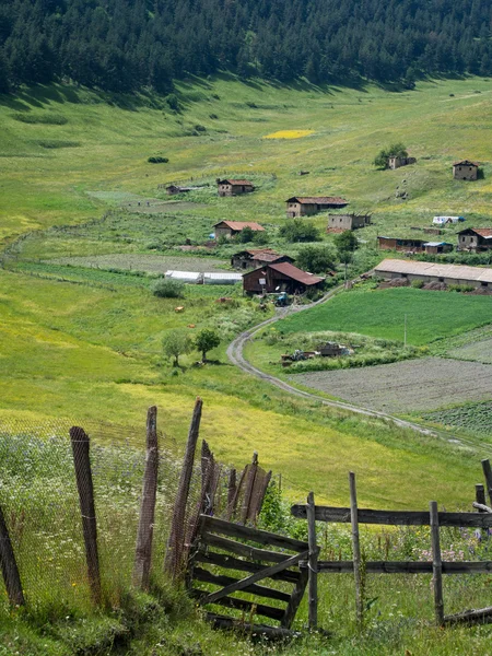 Sjenako dorp in Georgië — Stockfoto