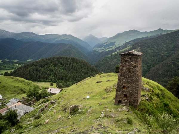 Beroemde defensieve towers in zemo omalo (keselo) — Stockfoto