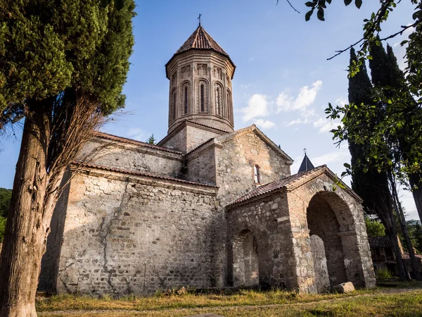 Catedral de Ikalto — Foto de Stock