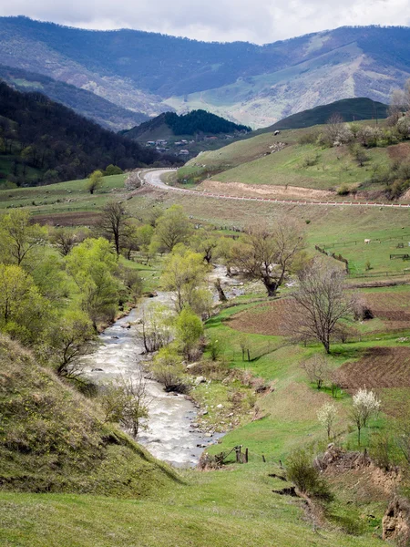 在亚美尼亚的 dilijan 国家公园 — 图库照片
