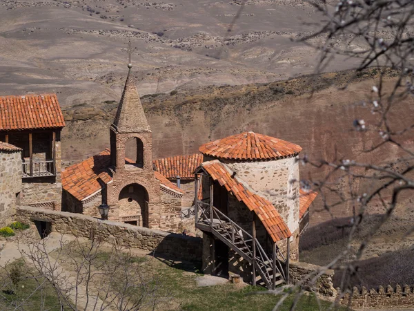 David Gareja, un complejo de monasterios ortodoxos georgianos tallados en roca — Foto de Stock