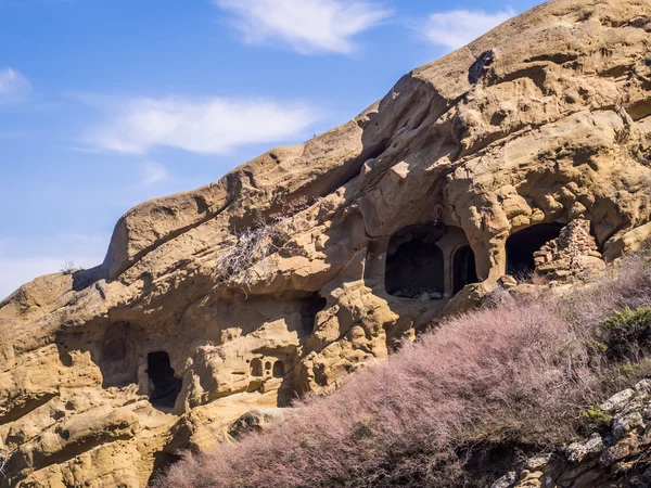 David Gareja, un complesso monastico georgiano ortodosso scavato nella roccia — Foto Stock