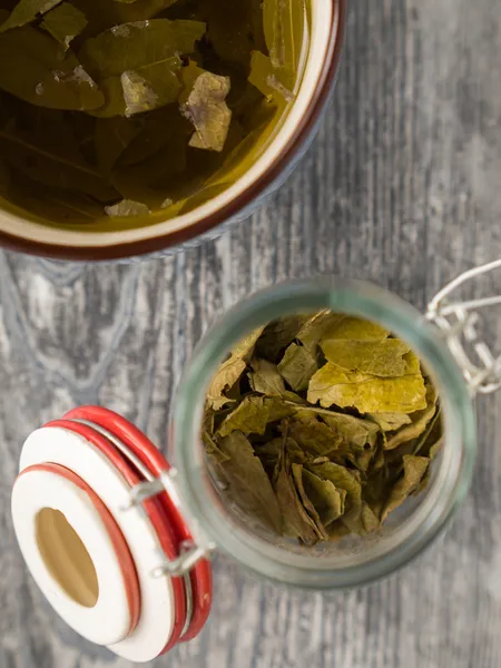 Tè alle foglie di coca — Foto Stock