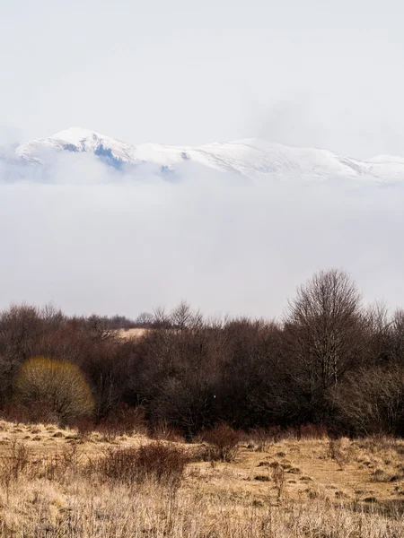 Kakheti 地区和高加索山脉视图 — 图库照片