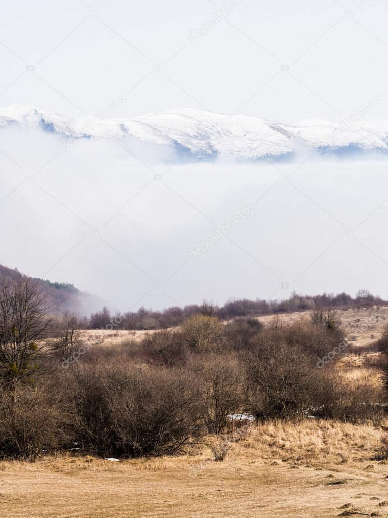 View of the Kakheti region and the Caucasus mountains