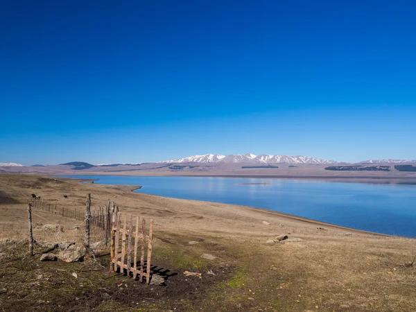 Danau Paravani — Stok Foto