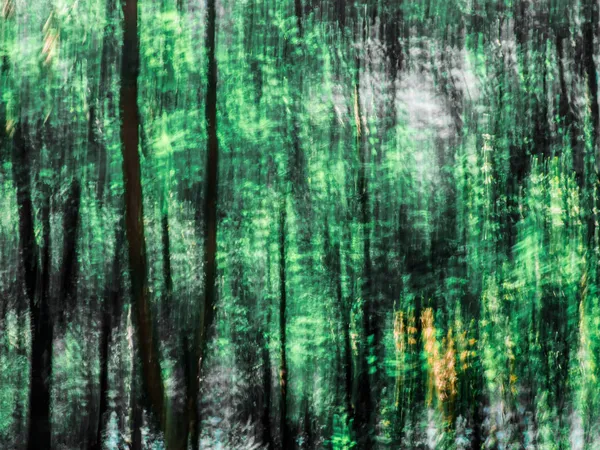 Forest - abstract — Stockfoto