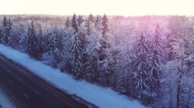 Hava aracıyla ormana doğru uçmak, akşam, gün batımı, kamera objektifinde leylak parıltısı, kış