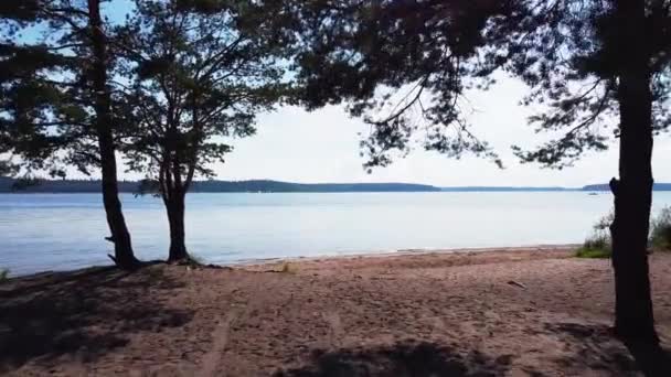 Lake River Sea Sandy Coast Sunny Day Drone Flight Trees — Stock Video