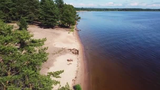 See Fluss Meer Sandküste Sonniger Tag Drohnenflug Über Grün Richtung — Stockvideo