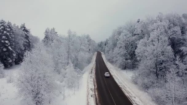 Kış Ormanı Ortalarında Bir Araba Geçen Bir Yol Var Açık — Stok video