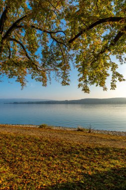 Lakeshore Gölü Constance Gölü Güneş ve mavi gökyüzü