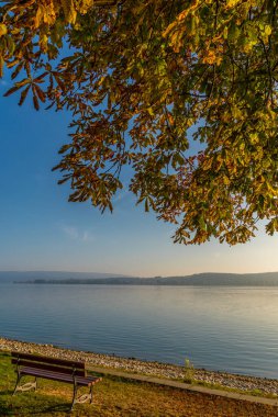 Göl manzaralı güzel Constance Gölü 'nde sonbahar
