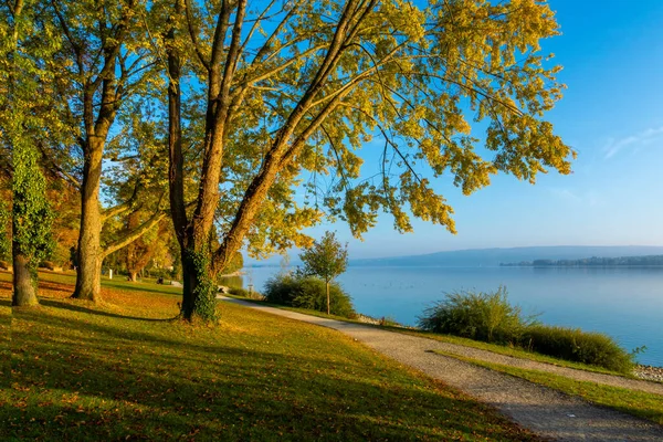 Herbsturlaub Schönen Bodensee Mit Blauem Himmel Und Sonnenschein — Stockfoto