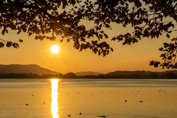 Pôr Sol Radolfzell Lago Constança Outono — Fotografia de Stock