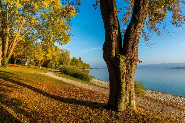 Urlaub Herbst Schönen Bodensee lizenzfreie Stockbilder