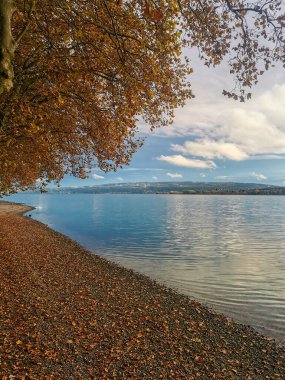 Güzel Constance Gölü 'nde sonbahar tatili. Mavi gökyüzü ve güzel bulut atmosferi.