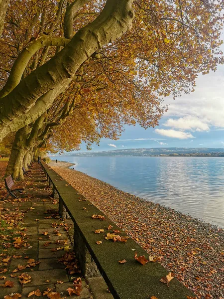  Sonbaharda güzel Constance Gölü