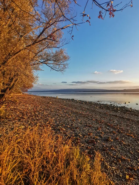 Sonbaharda Constance Gölü