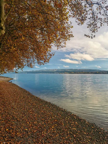 秋假在美丽的康斯坦茨湖 蓝天和美丽的云彩 — 图库照片