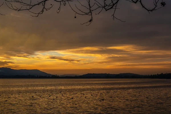 Férias Inverno Lago Constança Pôr Sol Dourado — Fotografia de Stock