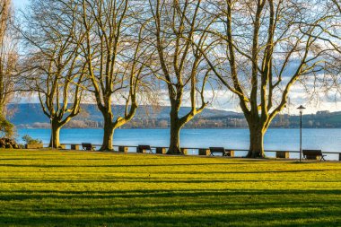 Parkta yürümek ve gölün önündeki muhteşem yeşil ağaçlar.
