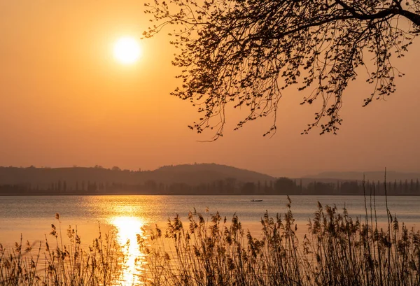 Sol Noite Lago Constance Primavera — Fotografia de Stock