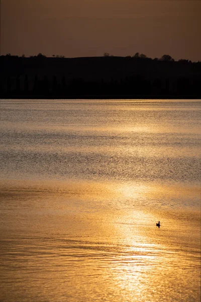 Férias Belo Lago Constança — Fotografia de Stock