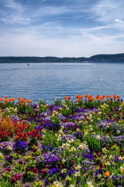 Göl kıyısında ve mavi gökyüzünde renkli çiçeklerle güzel Constance Gölü 'nde tatil