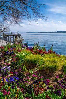 Constance Gölü 'nde tatil. Güneş ışığı. Mavi gökyüzü ve renkli çiçekler.