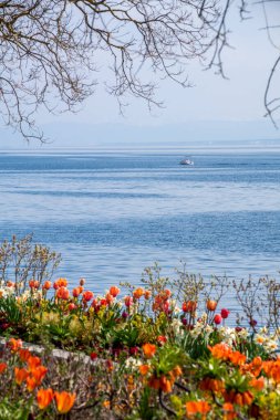 Güzel Constance Gölü 'nde tatiller mavi gökyüzü ve çiçeklerle