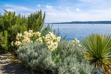 İlkbaharda göl kıyısında çiçeklerle güzel Constance Gölü 'nde tatiller
