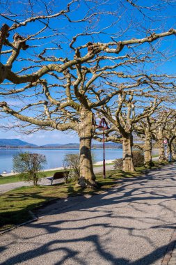 Tatil Radolfzell güzel Constance Gölü 'nde