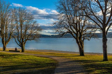 Lakeshore İlkbaharı Radolfzell, Constance Gölü
