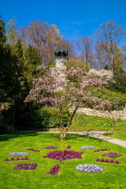 Constance Gölü 'ndeki Stadtgarten Berlingen Baharı