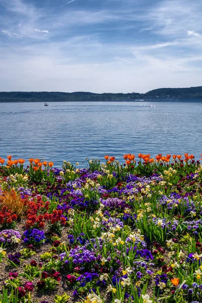 Göl kıyısında ve mavi gökyüzünde renkli çiçeklerle güzel Constance Gölü 'nde tatil