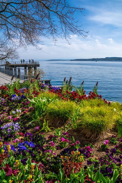 Constance Gölü 'nde tatil. Güneş ışığı. Mavi gökyüzü ve renkli çiçekler.